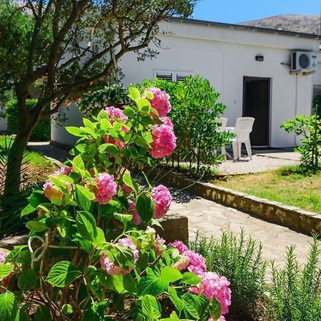 Apartmant Prosika Pag Town Extérieur photo